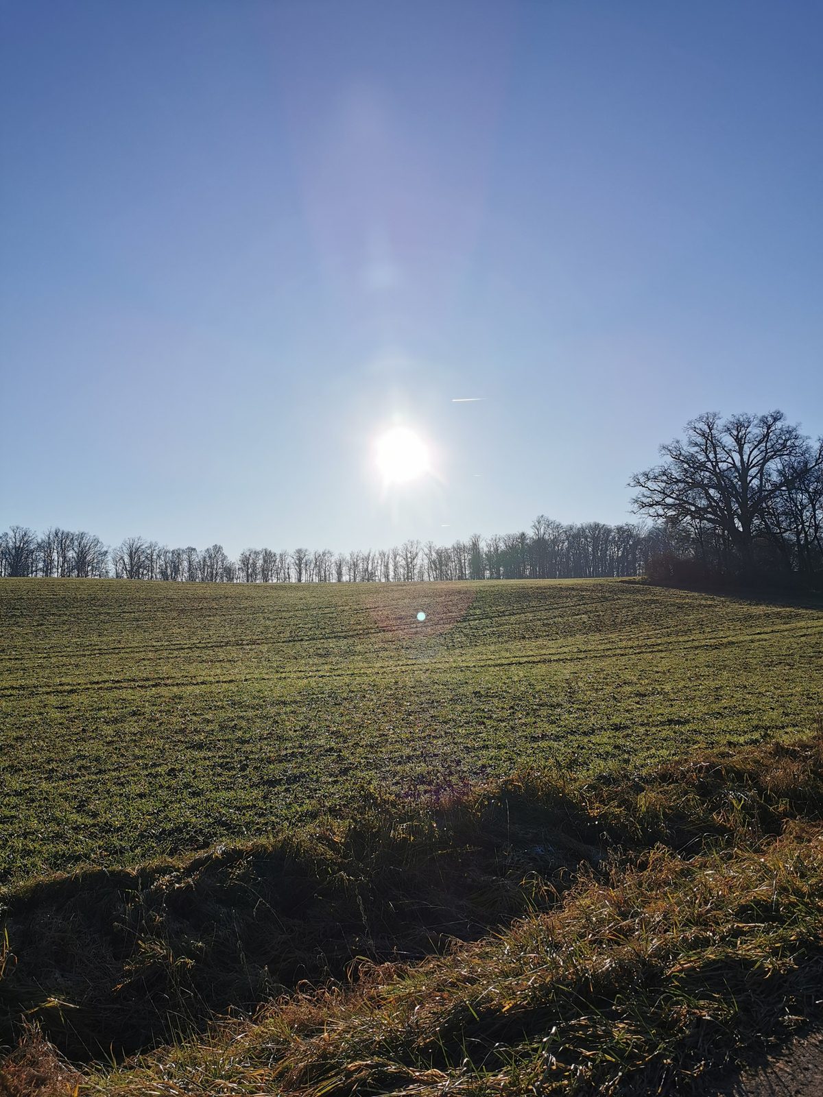 Wintersonne über einem Feld bei Schielberg